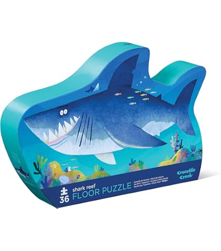 Amazon.com: Lights Camera Interaction 24-Piece Deluxe Alphabet